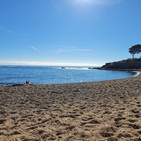 Appartement La Tranquillite, 2Mn A Pieds Mer Fréjus Esterno foto