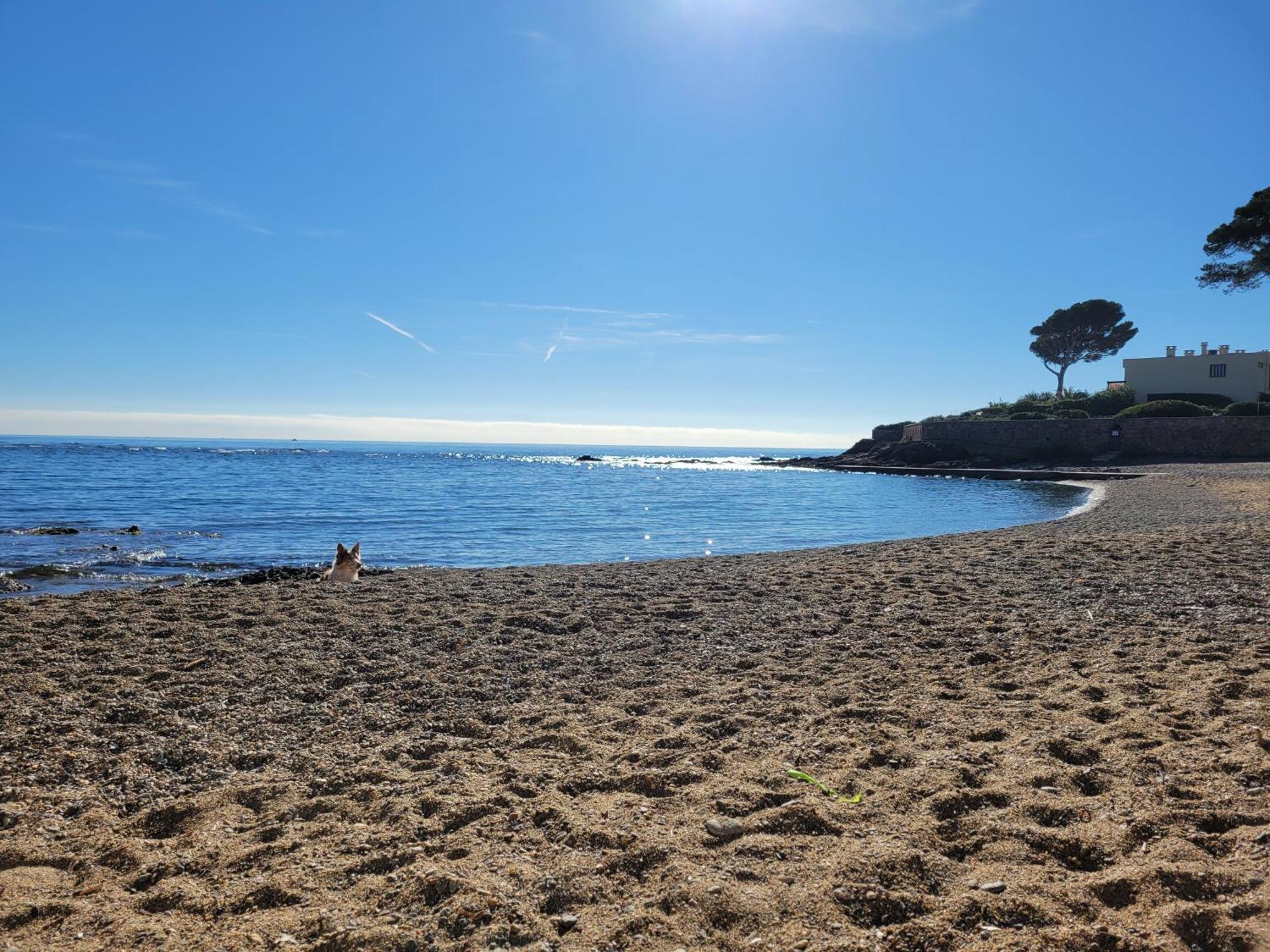 Appartement La Tranquillite, 2Mn A Pieds Mer Fréjus Esterno foto